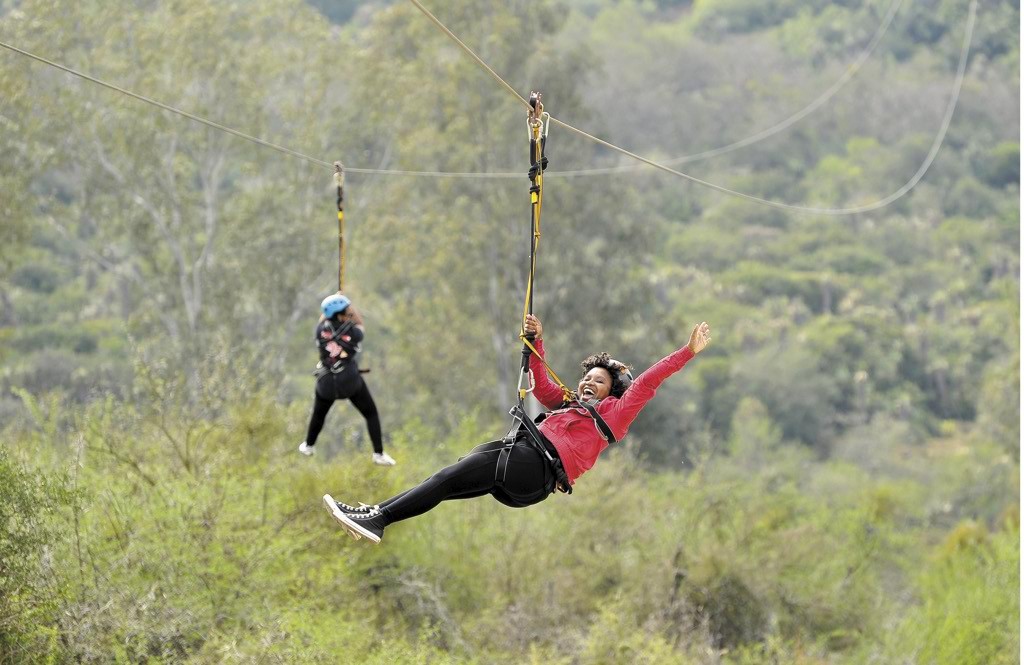 Adrenalin Inadına Sikiş